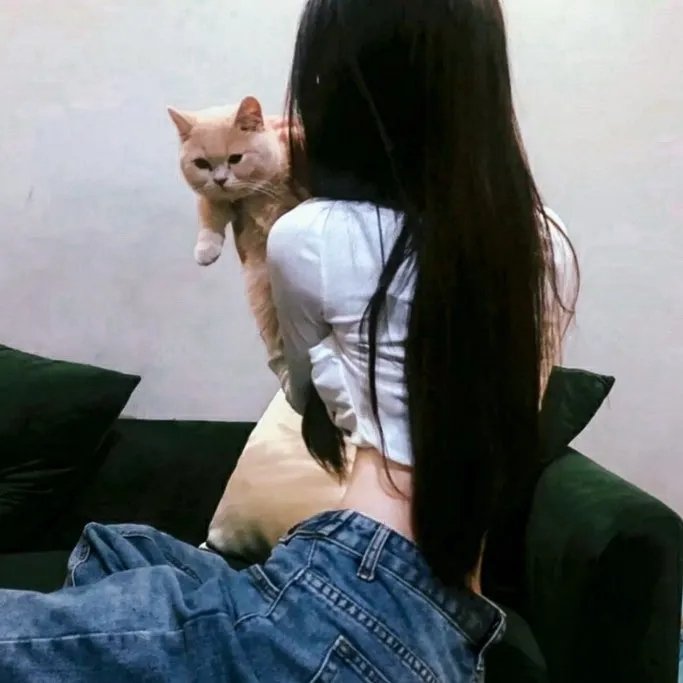 红翼